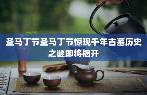 圣马丁节圣马丁节惊现千年古墓历史之谜即将揭开