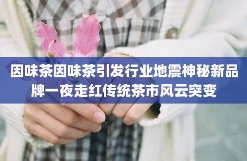 因味茶因味茶引发行业地震神秘新品牌一夜走红传统茶市风云突变