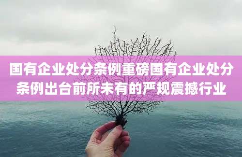 国有企业处分条例重磅国有企业处分条例出台前所未有的严规震撼行业