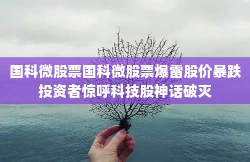 国科微股票国科微股票爆雷股价暴跌投资者惊呼科技股神话破灭