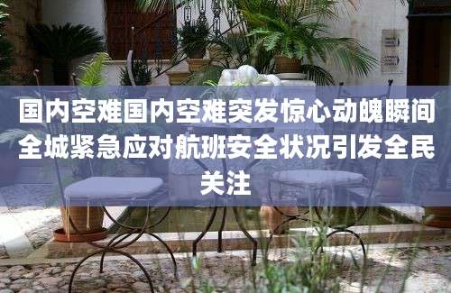 国内空难国内空难突发惊心动魄瞬间全城紧急应对航班安全状况引发全民关注