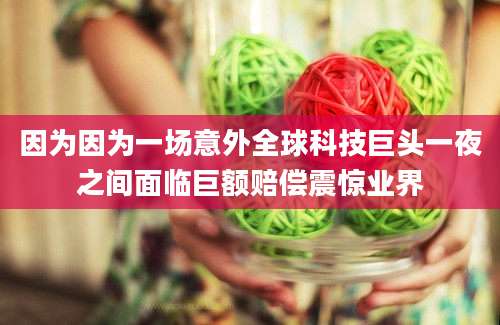因为因为一场意外全球科技巨头一夜之间面临巨额赔偿震惊业界