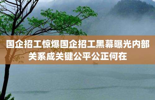 国企招工惊爆国企招工黑幕曝光内部关系成关键公平公正何在