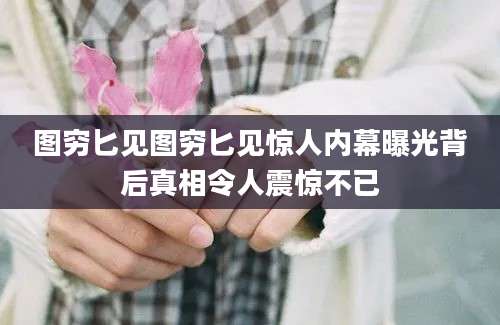 图穷匕见图穷匕见惊人内幕曝光背后真相令人震惊不已
