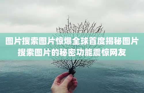 图片搜索图片惊爆全球首度揭秘图片搜索图片的秘密功能震惊网友