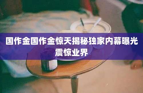 国作金国作金惊天揭秘独家内幕曝光震惊业界