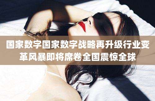 国家数字国家数字战略再升级行业变革风暴即将席卷全国震惊全球