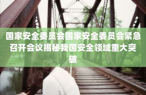 国家安全委员会国家安全委员会紧急召开会议揭秘我国安全领域重大突破