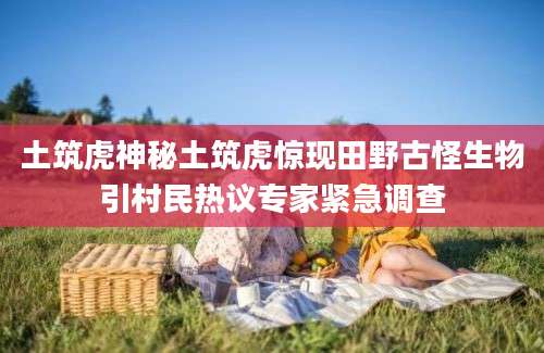 土筑虎神秘土筑虎惊现田野古怪生物引村民热议专家紧急调查