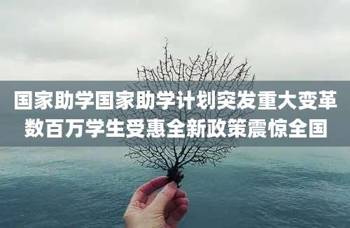 国家助学国家助学计划突发重大变革数百万学生受惠全新政策震惊全国