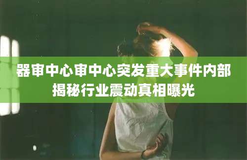器审中心审中心突发重大事件内部揭秘行业震动真相曝光
