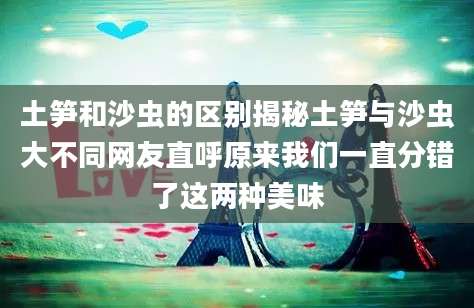 土笋和沙虫的区别揭秘土笋与沙虫大不同网友直呼原来我们一直分错了这两种美味
