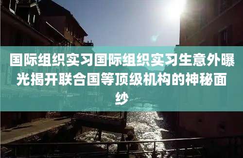 国际组织实习国际组织实习生意外曝光揭开联合国等顶级机构的神秘面纱