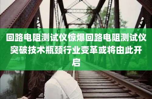 回路电阻测试仪惊爆回路电阻测试仪突破技术瓶颈行业变革或将由此开启