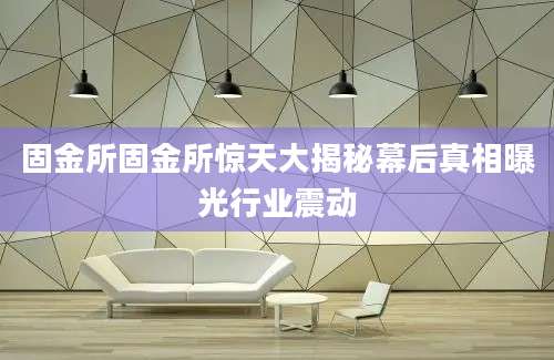 固金所固金所惊天大揭秘幕后真相曝光行业震动