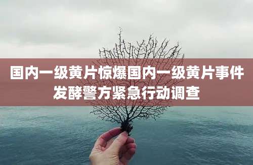 国内一级黄片惊爆国内一级黄片事件发酵警方紧急行动调查