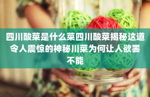 四川酸菜是什么菜四川酸菜揭秘这道令人震惊的神秘川菜为何让人欲罢不能