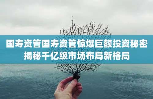 国寿资管国寿资管惊爆巨额投资秘密揭秘千亿级市场布局新格局