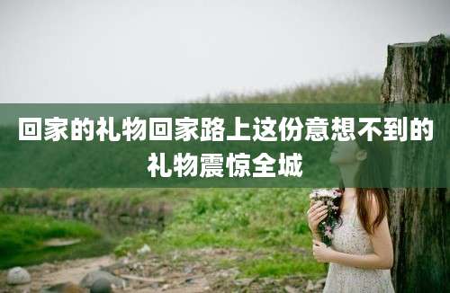 回家的礼物回家路上这份意想不到的礼物震惊全城