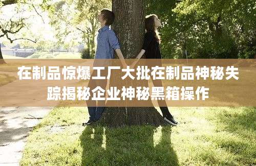 在制品惊爆工厂大批在制品神秘失踪揭秘企业神秘黑箱操作