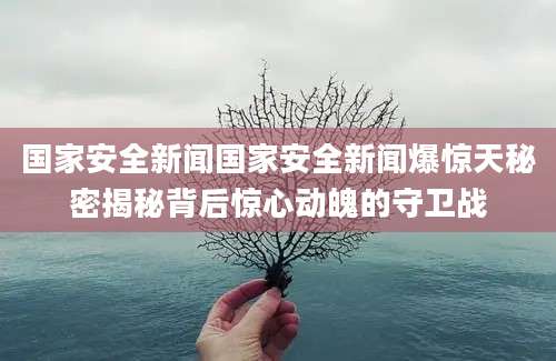 国家安全新闻国家安全新闻爆惊天秘密揭秘背后惊心动魄的守卫战