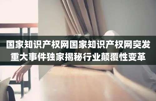 国家知识产权网国家知识产权网突发重大事件独家揭秘行业颠覆性变革