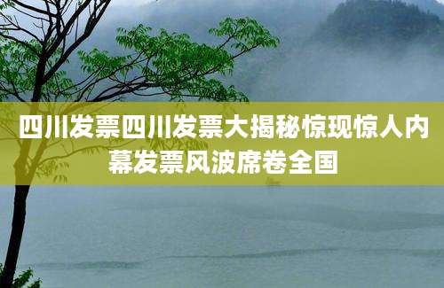 四川发票四川发票大揭秘惊现惊人内幕发票风波席卷全国
