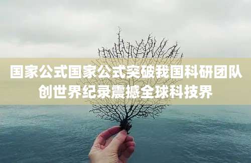 国家公式国家公式突破我国科研团队创世界纪录震撼全球科技界