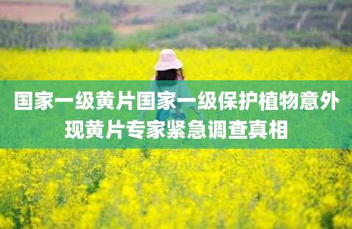 国家一级黄片国家一级保护植物意外现黄片专家紧急调查真相