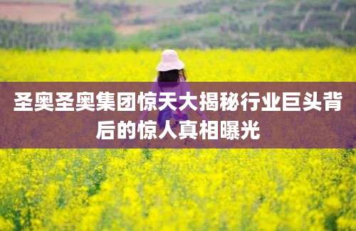 圣奥圣奥集团惊天大揭秘行业巨头背后的惊人真相曝光