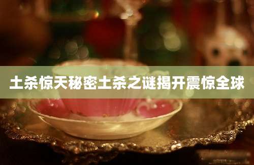 土杀惊天秘密土杀之谜揭开震惊全球