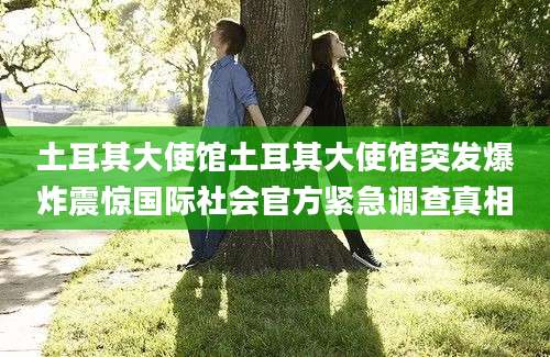 土耳其大使馆土耳其大使馆突发爆炸震惊国际社会官方紧急调查真相