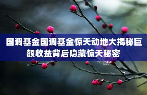 国调基金国调基金惊天动地大揭秘巨额收益背后隐藏惊天秘密