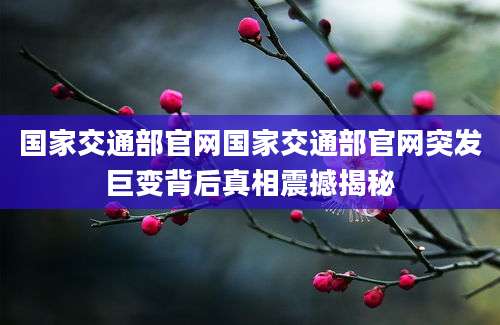 国家交通部官网国家交通部官网突发巨变背后真相震撼揭秘