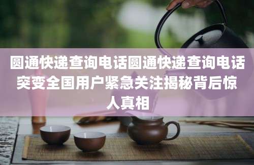 圆通快递查询电话圆通快递查询电话突变全国用户紧急关注揭秘背后惊人真相