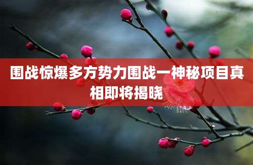围战惊爆多方势力围战一神秘项目真相即将揭晓