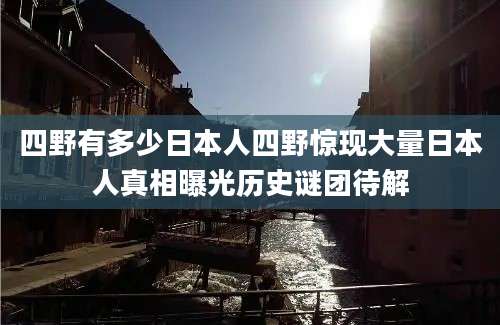 四野有多少日本人四野惊现大量日本人真相曝光历史谜团待解