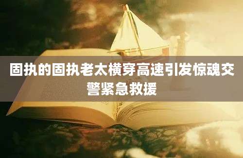 固执的固执老太横穿高速引发惊魂交警紧急救援