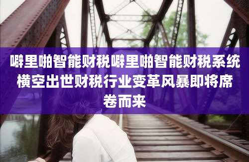 噼里啪智能财税噼里啪智能财税系统横空出世财税行业变革风暴即将席卷而来