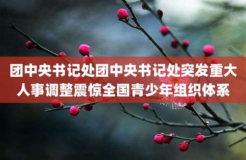 团中央书记处团中央书记处突发重大人事调整震惊全国青少年组织体系