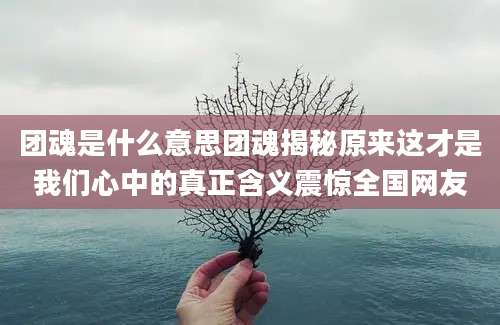 团魂是什么意思团魂揭秘原来这才是我们心中的真正含义震惊全国网友