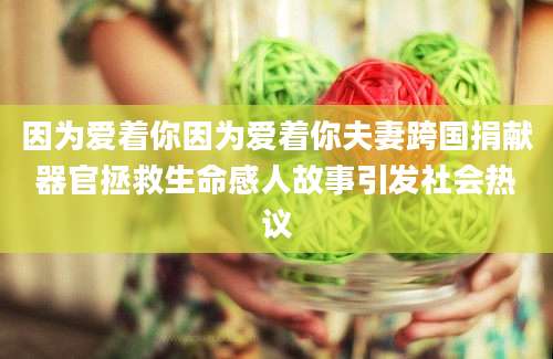 因为爱着你因为爱着你夫妻跨国捐献器官拯救生命感人故事引发社会热议