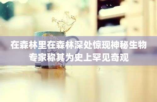 在森林里在森林深处惊现神秘生物专家称其为史上罕见奇观