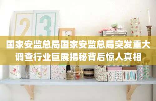国家安监总局国家安监总局突发重大调查行业巨震揭秘背后惊人真相