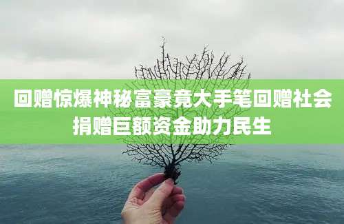 回赠惊爆神秘富豪竟大手笔回赠社会捐赠巨额资金助力民生