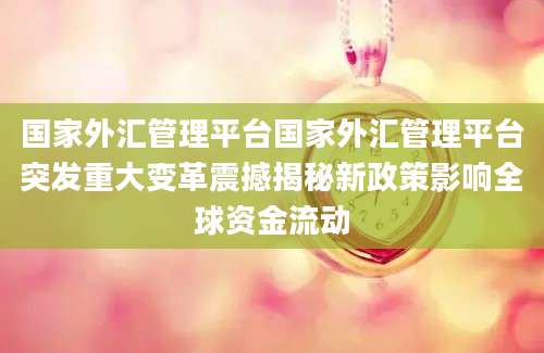 国家外汇管理平台国家外汇管理平台突发重大变革震撼揭秘新政策影响全球资金流动