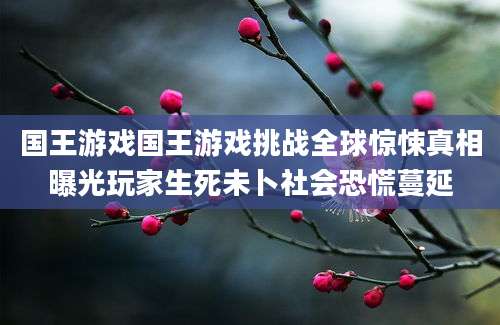 国王游戏国王游戏挑战全球惊悚真相曝光玩家生死未卜社会恐慌蔓延