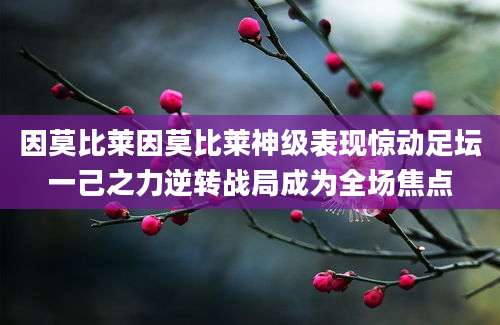 因莫比莱因莫比莱神级表现惊动足坛一己之力逆转战局成为全场焦点