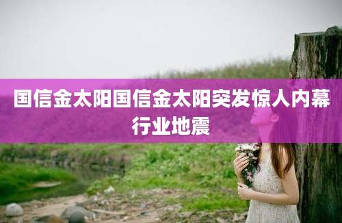 国信金太阳国信金太阳突发惊人内幕行业地震