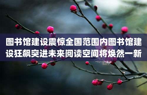 图书馆建设震惊全国范围内图书馆建设狂飙突进未来阅读空间将焕然一新